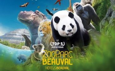 zoo de beauval