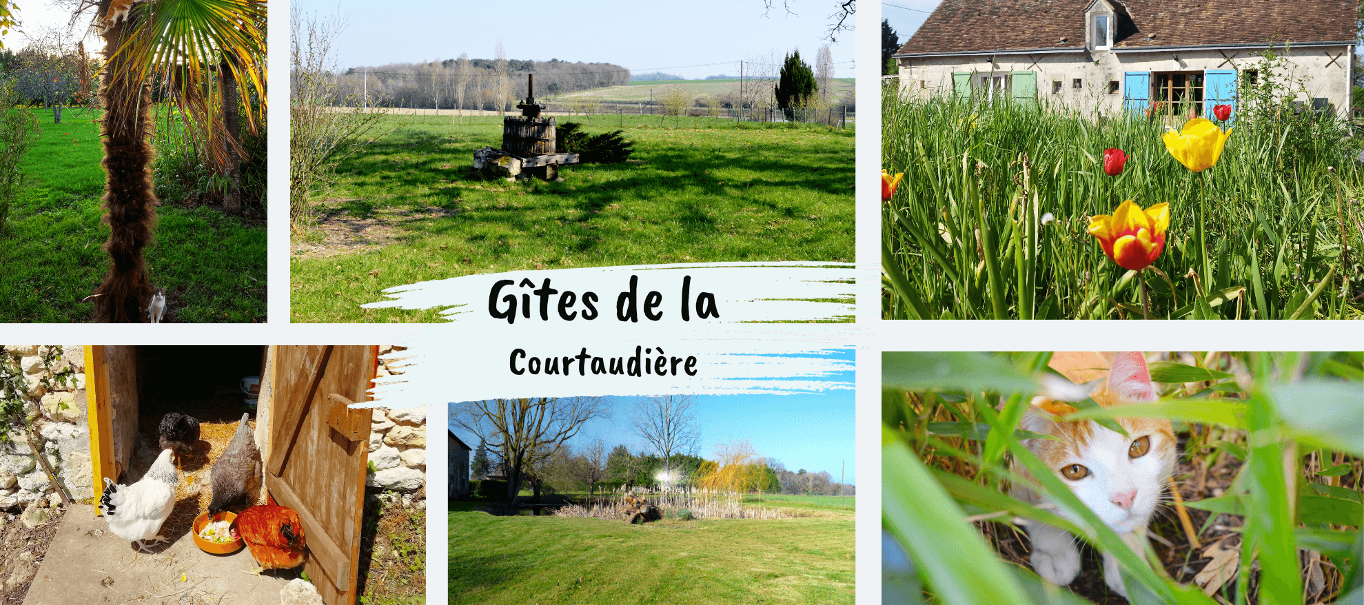 jardins